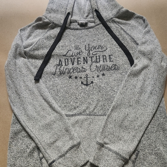 Princess Cruise Line Hoodie L - Picture 1 of 3